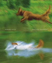 The book cover of Beautiful Evidence illustrating two photos blurred from action with the top photo showing a brown dog mid-jump over some water against a green background with the bottom photo depicting the same brown dog making a large splash as it lands in the water.